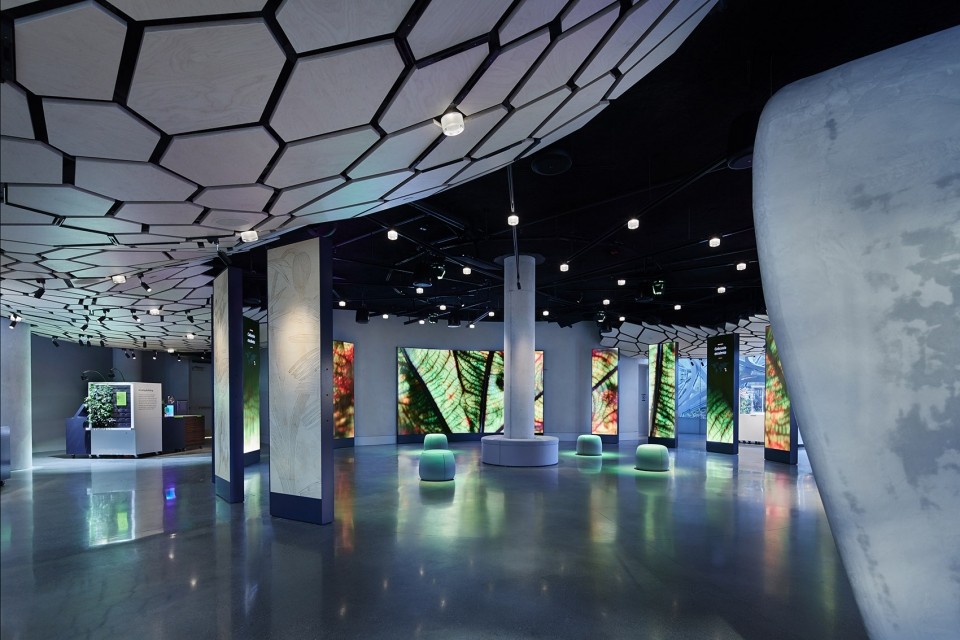 亞馬遜總部Understory展廳